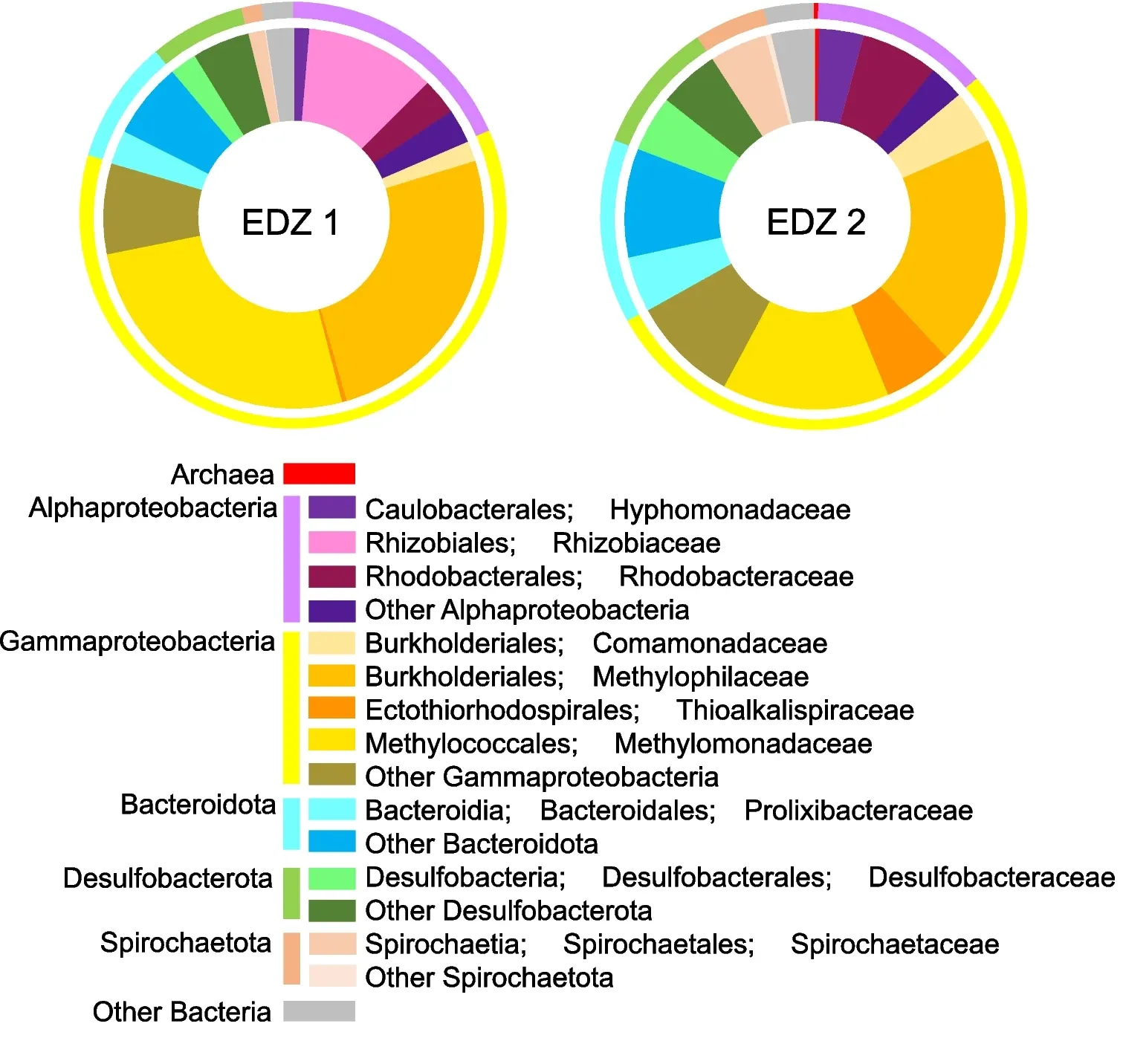 Figure 3 Microbial community structures from biofilms on fractures named EDZ1 and EDZ2[4]. The phylum and class were classified by 16S rRNA gene sequences in the nomenclature based on the SILVA 138 database using QIIME2 software.