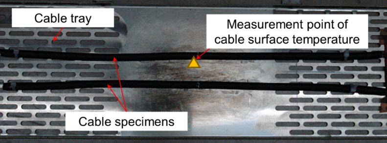 (a)Appearance of the test system